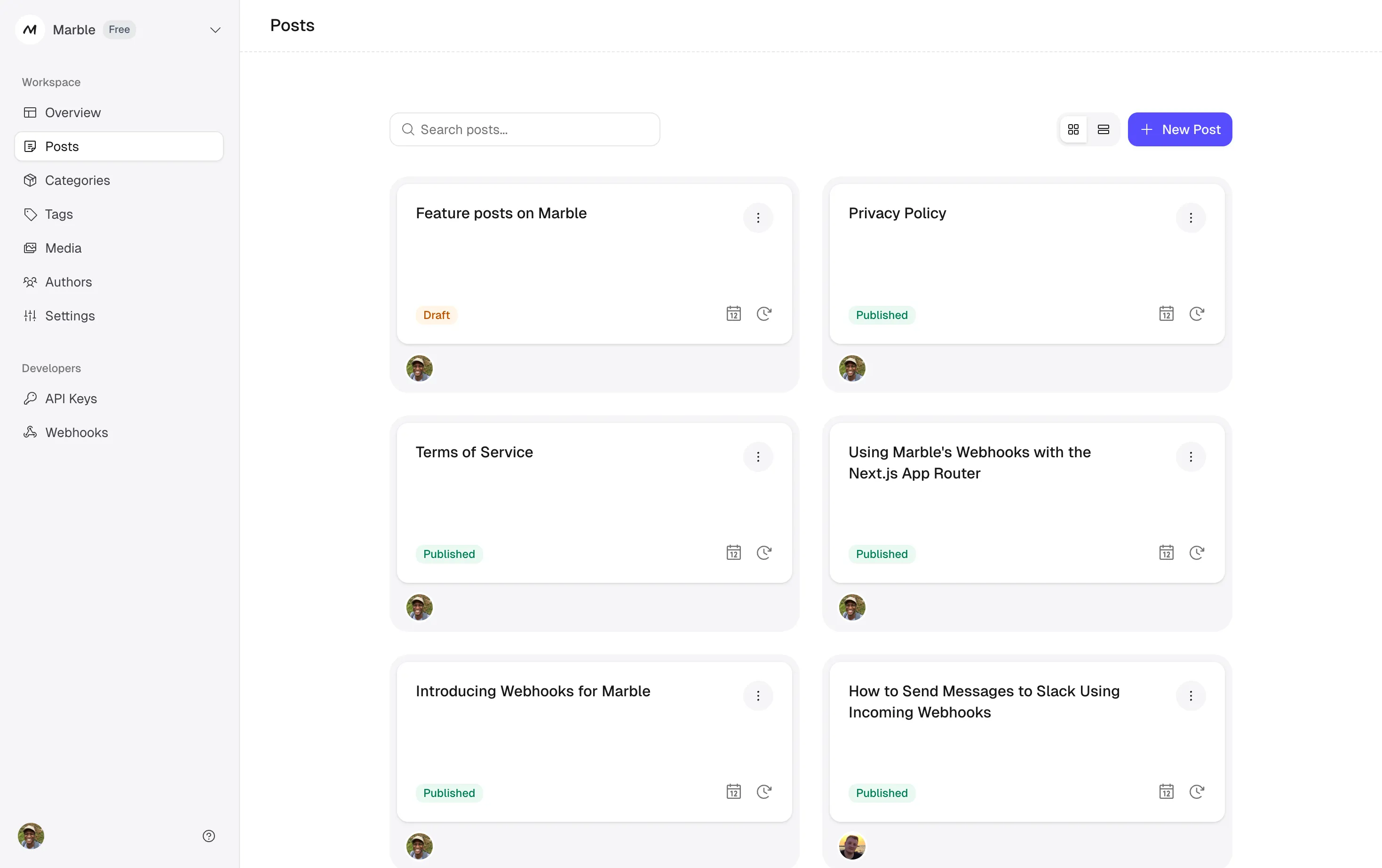 The Marble posts view with published and draft posts